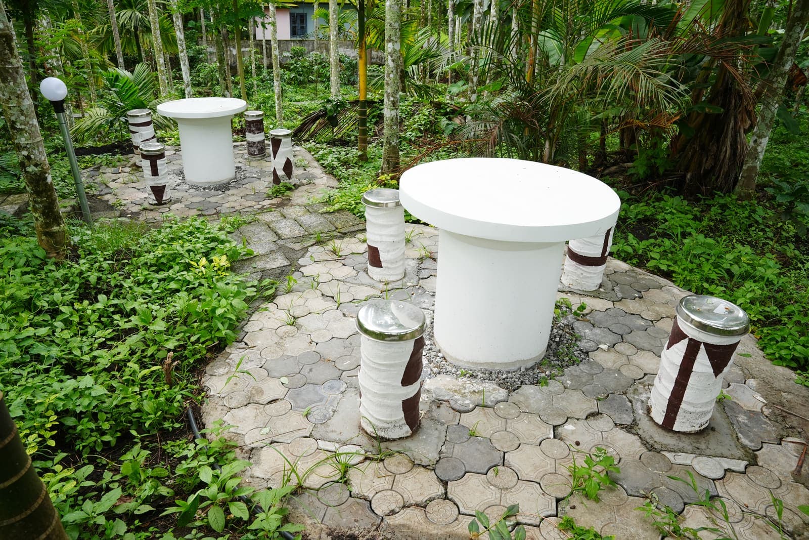 Walking trail at Kaivalyam Homestay, view 1 — Kaivalyam Homestay, Padichira, Wayanad