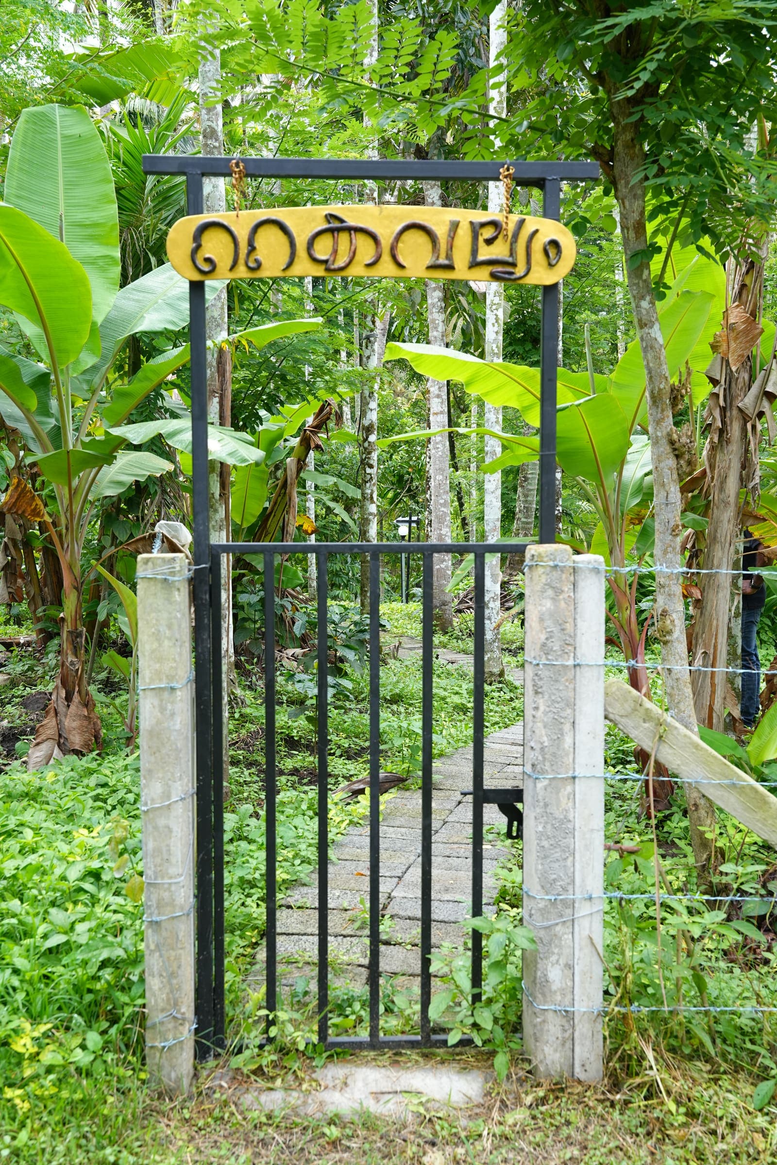 Walking trail at Kaivalyam Homestay, view 2 — Kaivalyam Homestay, Padichira, Wayanad