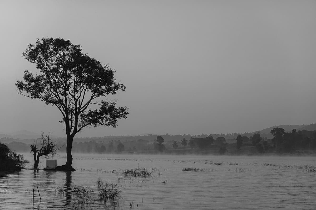 Kabini National Park — Wildlife, Zoos & Aquariums near Kaivalyam Homestay, Wayanad