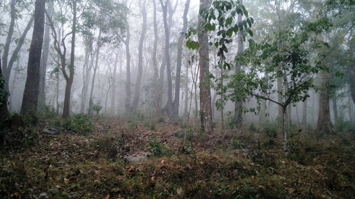 Muthanga Wildlife — Wildlife, Zoos & Aquariums near Kaivalyam Homestay, Wayanad