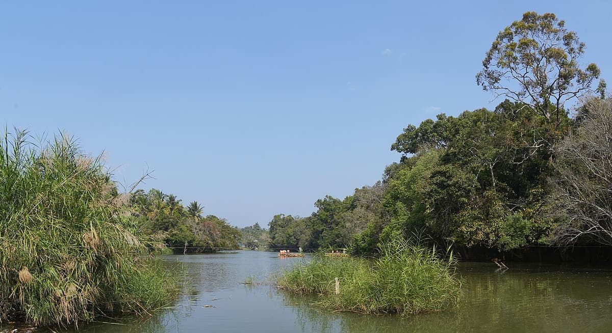 Kabini River — Bodies of Water near Kaivalyam Homestay, Wayanad