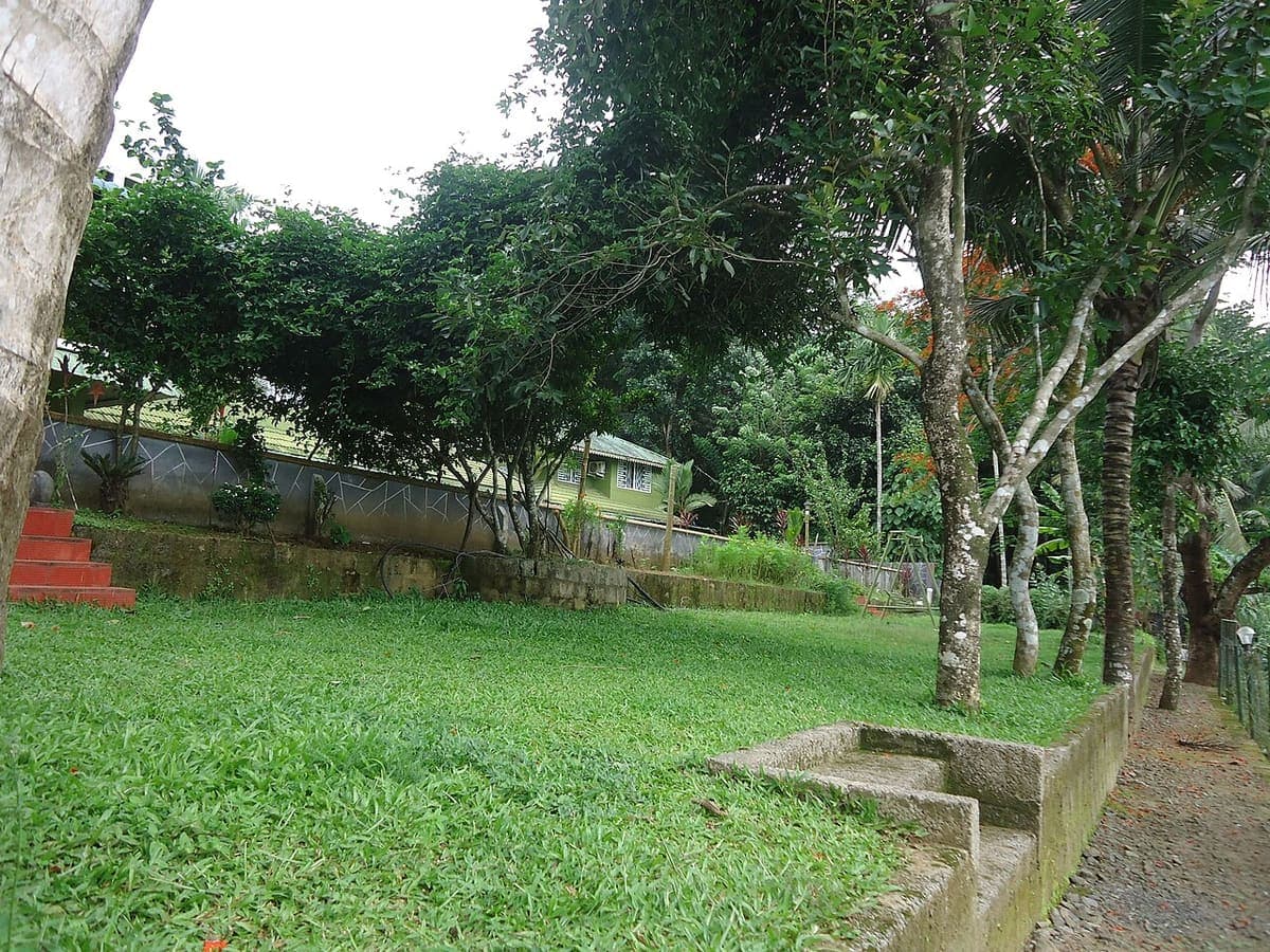 Ayurveda Wellness — Ayurveda & Spas near Kaivalyam Homestay, Wayanad
